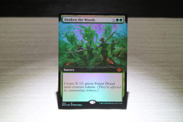 Awaken the Woods The Brothers' War (BRO) foil