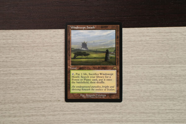 Windswept Heath #440 Modern Horizons 3 (MH3) normal