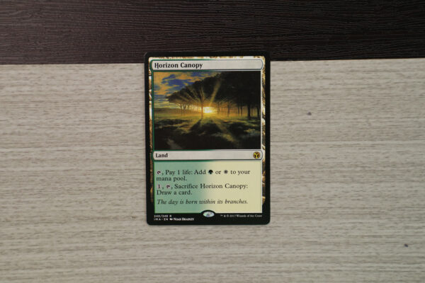 Horizon Canopy IMA Iconic Masters hologram