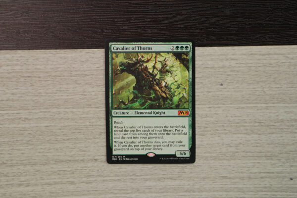 Cavalier of Thorns M20 hologram