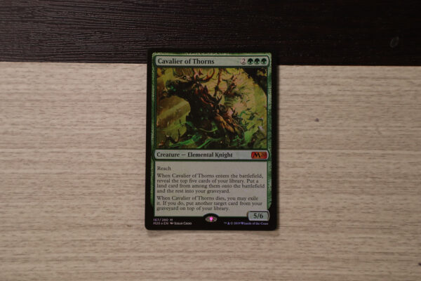 Cavalier of Thorns M20 foil