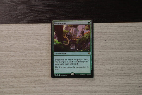 Burgeoning C16 foil