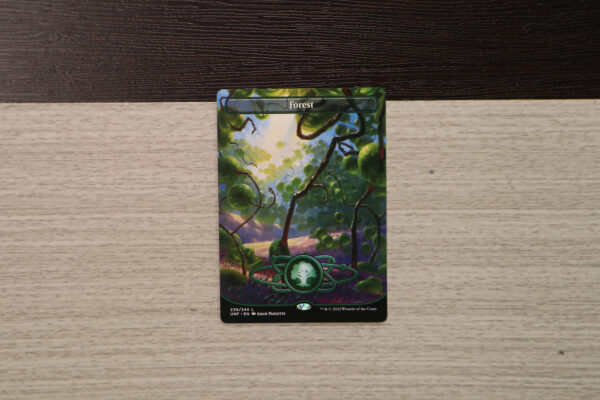 Forest #239 UNF hologram